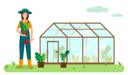 Young woman with plants and gardening tools near greenhouse in the garden. Gardening concept design. Spring or summer banner or background vector illustration.のイラスト素材
