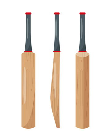 Cricket bats set. Sport equipment for cricket game.のイラスト素材
