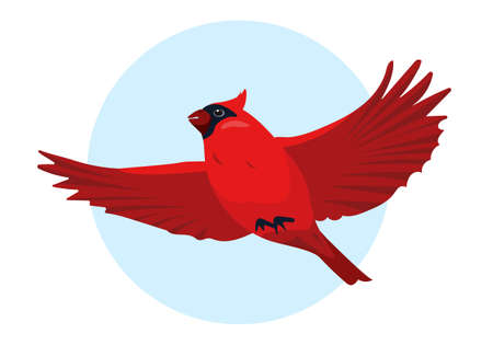 Red Cardinal bird flying in sky. Cute small bright Bird icon. Vector illustration for ornithology or nature design.のイラスト素材
