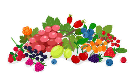 Juicy fresh wild and garden berries mix. Collection of Berries for daily vitamins and healthy food. Vector illustration on white background.のイラスト素材