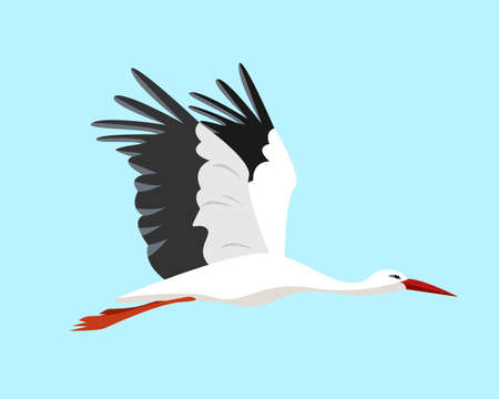 Flying stork in sky. White Stork bird icon isolated on blue background. Flat or cartoon vector illustration.の写真素材