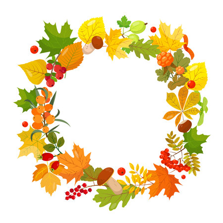 Seasonal autumn round banner with different Berries, Leaves and mushrooms on white background. Bright Autumn elements in circle. Vector cartoon or flat illustration.のイラスト素材
