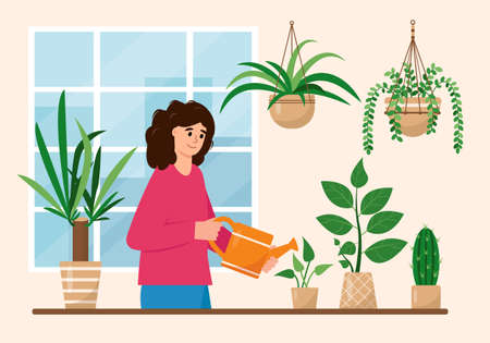 Young woman watering house indoors plants. Hobby Home gardening and growing houseplant. Girl tending decorative potted flowers in city home garden. Flat or cartoon vector illustration.のイラスト素材