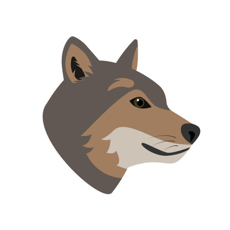 Wolf head or face side view. Wild grey wolf animal icon isolated on white background. Vector flat or cartoon illustration.のイラスト素材