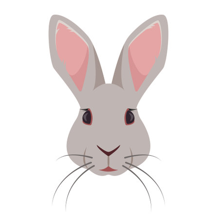 Rabbit face or head front view. Wild forest or Farm animal or pet icon. Bunny rabbit. Vector illustration isolated on white background.のイラスト素材