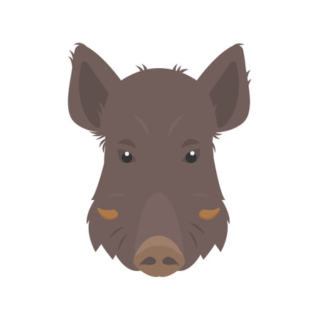 Boar or wild pig head. Brown Boar forest animal face. Flat vector icon illustration isolated on white background.のイラスト素材