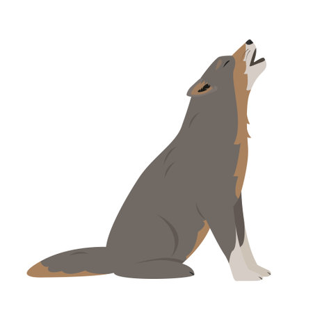 Wolf sitting and howling. Wild gray wolf animal icon. Canis lupus. Vector illustration isolated on white background.のイラスト素材