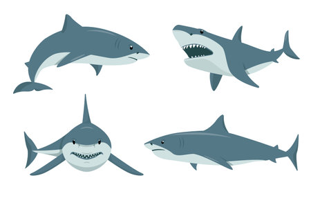 Sharks animal set. Underwater sharks, toothy fish mascot, sea fauna characters in different poses. Ocean aquatic animals. Nature Vector flat or cartoon illustration isolated on white background.のイラスト素材