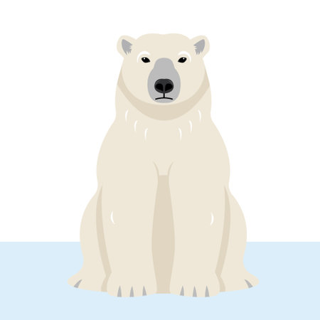 White sitting Polar bear icon. Wild polar Bear animal of the Arctic and the Arctic Circle. Vector illustration isolated on white background.のイラスト素材