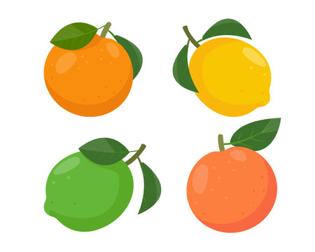 Set of citrus fruits icons. Fresh whole orange, lemon, lime and grapefruit with leaves. Organic fruits for juice, smoothie or vitamin C healthy food. Vector illustration isolated on white background.のイラスト素材
