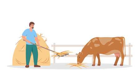 Farmer man feeding cow. Male character taking care of cattle farm animals. Farming concept. Vector illustration isolated on white background.のイラスト素材