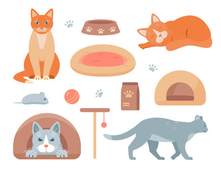 Set of Cats and accessories for pets. Cat and pet shop goods icons. Vector illustration isolated on white background.のイラスト素材