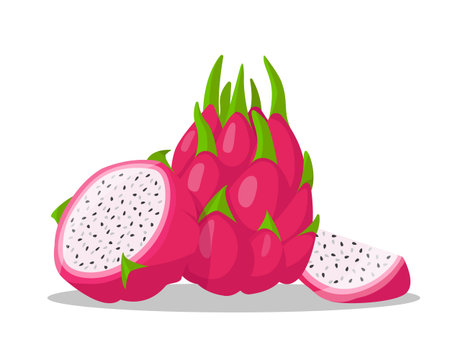 Red dragon fruit. Whole bright summer tropical Dragon fruit or Pitaya, half and piece for healthy food. Vector illustration isolated on white background.のイラスト素材