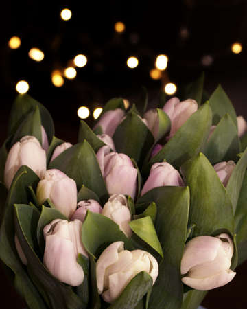 beautiful bouquet of pink tulips as a giftの写真素材