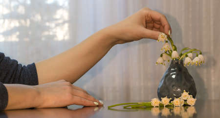Girl puts snowdrops in a vaseの写真素材