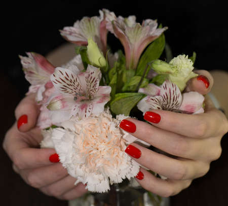 women's hands with red manicure hold a beautiful delicate bouquetの写真素材