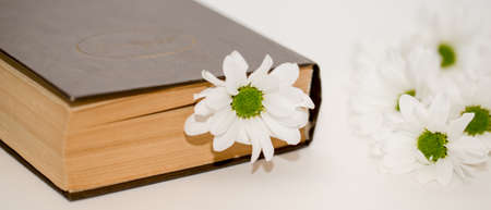 old book on the table with white flowersの写真素材