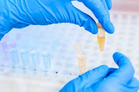 Hands scientist chemist biologist, doctor with a test tube and plate in modern laboratoryの写真素材