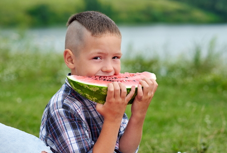 Portrait of little boy at picnic. Child eating watermelon in the meadowの写真素材