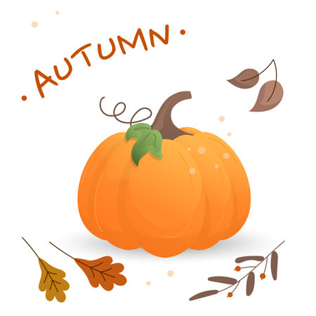 Vector set of orange pumpkins isolated on a white background.のイラスト素材