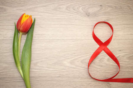 Tulip on March 8の写真素材