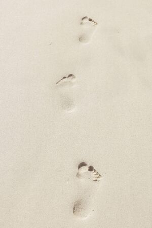 Footprints in the light sandの写真素材