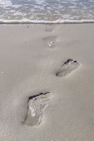 Footprints in wet sandの写真素材