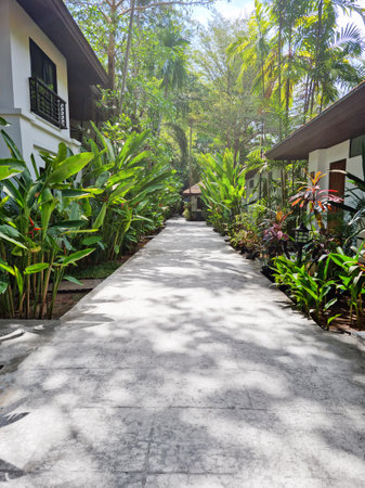 Landscape with shadowy pathway among green tropical lush foliage palms and bushes and small houses leading to travel destination at hot sunny dayの写真素材