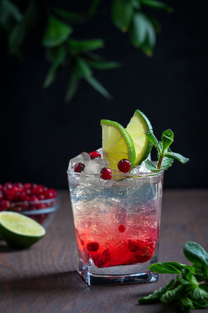 Cold refreshing lemonade drink made of mashed cranberry served in glass with ice cubes decorated with lime citrus slices and green fresh mint leaves on dark brown wooden tableの写真素材