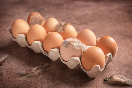 Group of raw fresh whole chicken eggs in carton box or container made of recycled paper with hen...
