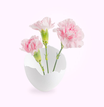 Festive elegant carnation flowers bouquet with green stem in vase of half of broken white avian hen...