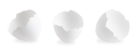 Three different broken fragile empty eggshell of chicken or hen isolated on white background is...