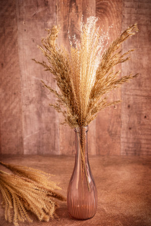 Bunch of dried pampas grass plant in a purple glass vase on brown table against rustic wooden background used as autumn decoration bouquet for interior home floral decor or as giftの写真素材