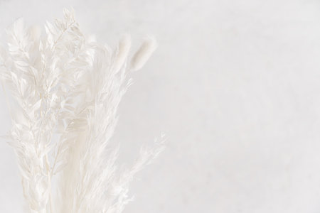 Soft and airy bouquet of dried white flowers, pampas grass and plants floral arrangement in neutral tones against gray background with copy space used as elegant wedding decorの写真素材