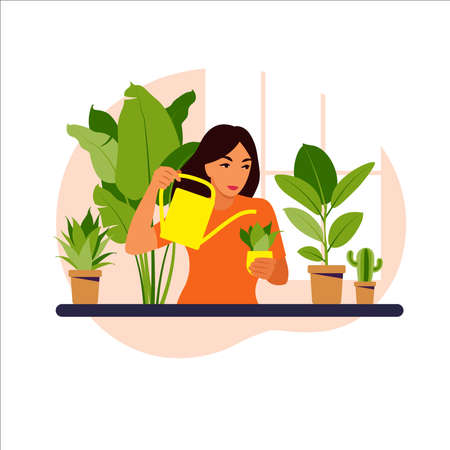 Woman watering houseplants at home vector illustration. Stay home, lifestyle, home garden and houseplants concept. Flat vector illustration.のイラスト素材