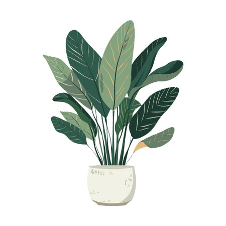 Potted green plant with yellow accents on white background. Bird's Nest Fernの素材