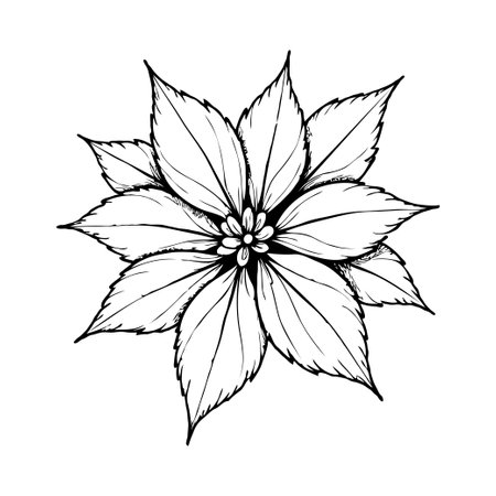 Intricate hand-drawn flower with multiple detailed petals and fine linework on white background, concept of natural floral eleganceの素材