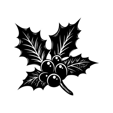 Stylized holly leaves and berries in black ink style, with detailed shading, on a clean white background. Concept of nature and holidayの素材