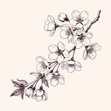 Detailed cherry blossom flowers and buds hand-drawn in sketch style on a light beige background, representing spring elegance and natureの素材