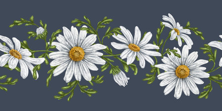 Seamless hand drawn pattern with white chamomiles. Flower background for textiles, fabrics, banner, wrapping paper and other designs. Digital illustration on blue background.の写真素材