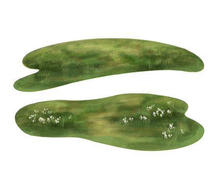 A set of two sunny olive-colored glades with grass and white flowers. For compositions, postcards, banners.の写真素材
