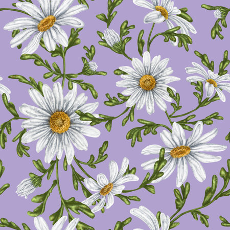 Seamless hand drawn pattern with white chamomiles. Flower background for textiles, fabrics, banner, wrapping paper and other designs. Digital illustration on lilac background.の写真素材