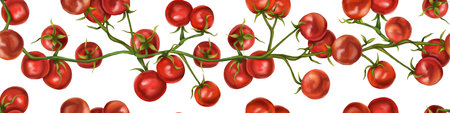 Seamless hand drawn pattern with cherry tomatoes. Vegetable background for textiles, fabrics, banner, wrapping paper, and other designs. Digital illustration on white background.の写真素材