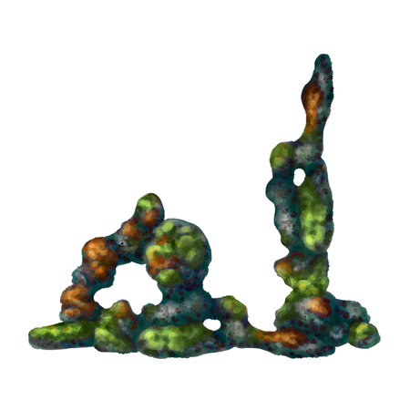 A underwater rock with green seaweed and orange coral. Digital illustration on a white background. For compositions, prints, stickers, posters.の写真素材