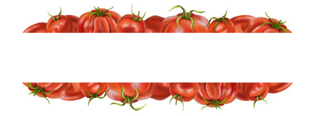 A border of red ripe tomatoes of different varieties. Digital illustration on a white background. For packaging design, postcards, prints, textiles.の写真素材