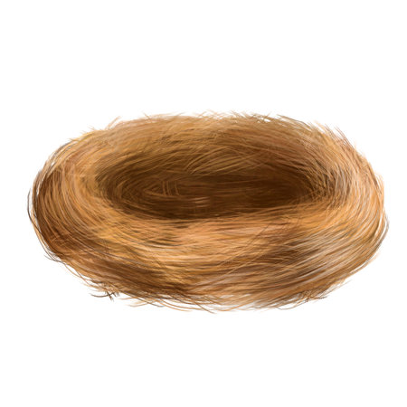 Bird's nest of hay and twigs. For compositions, design, postersの写真素材