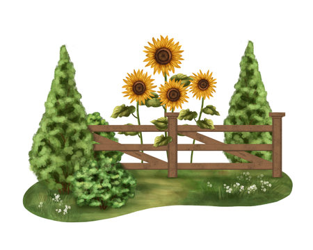 A rural composition of green bushes, sunflowers and a wooden fence in a sunny clearing.. For packaging design, postcards, textiles, posters, stickers.の写真素材