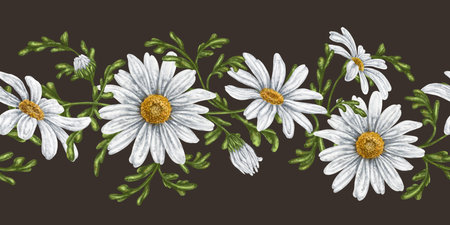 Seamless hand drawn pattern with white chamomiles. Flower background for textiles, fabrics, banner, wrapping paper and other designs. Digital illustration on color background.の写真素材