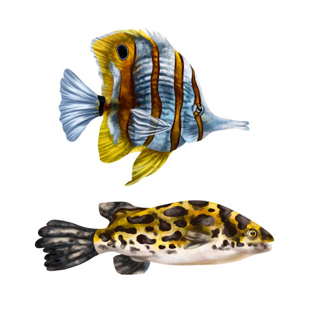 A set of two of their yellow-tinged marine fish. Tropical underwater world, digital illustration. For design, packaging, printing, posters, textiles, souvenirs.の写真素材