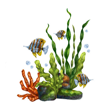 A bright composition with an underwater world. Red coral, seaweed, tropical striped fish. For printing, stickers, posters, postcards, prints.の写真素材